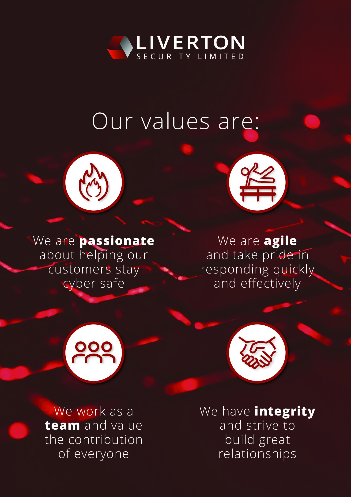 Values Liverton Security